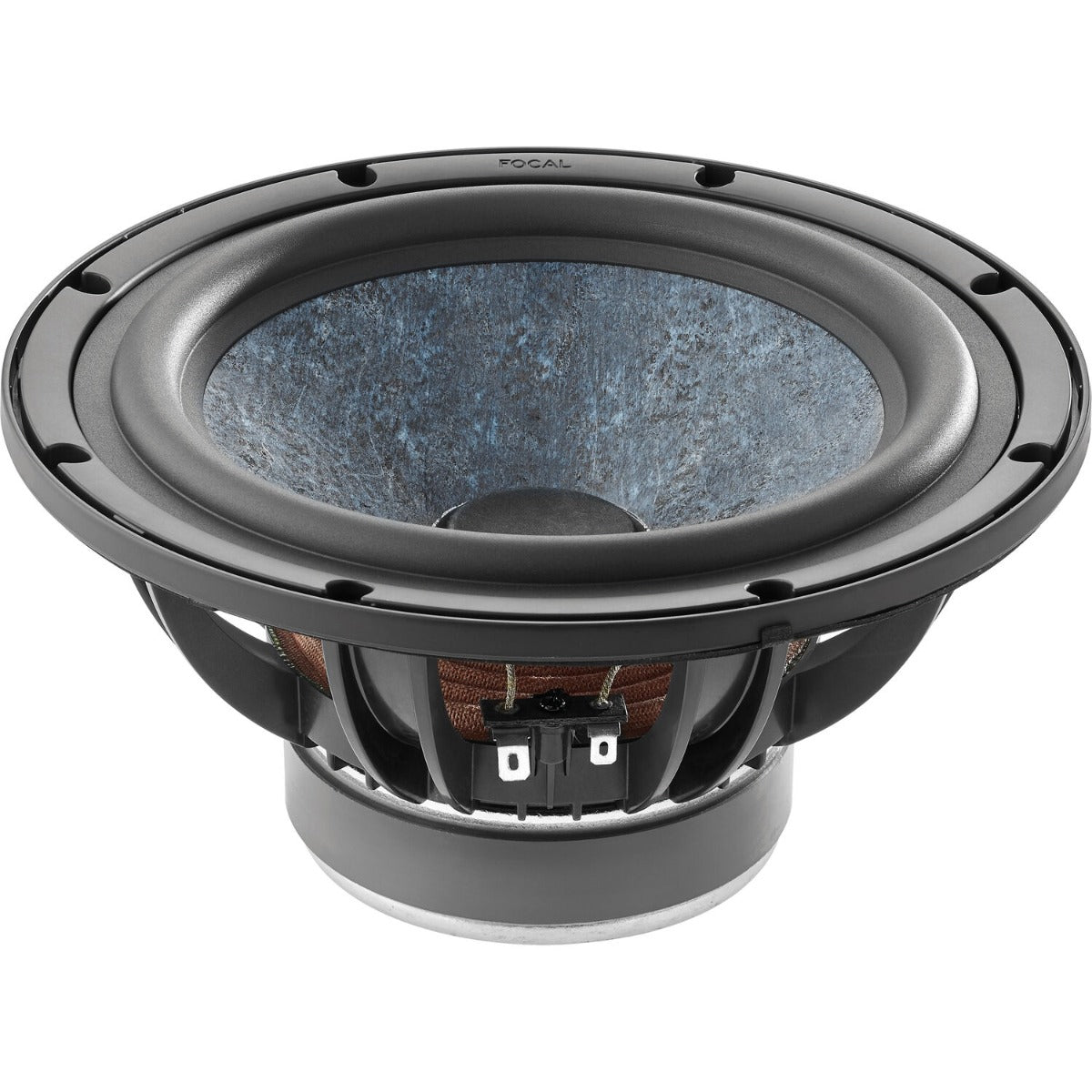 Focal Alpha Twin Evo