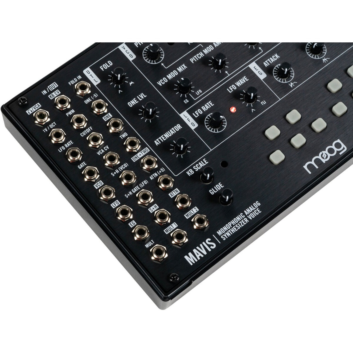 Moog Mavis