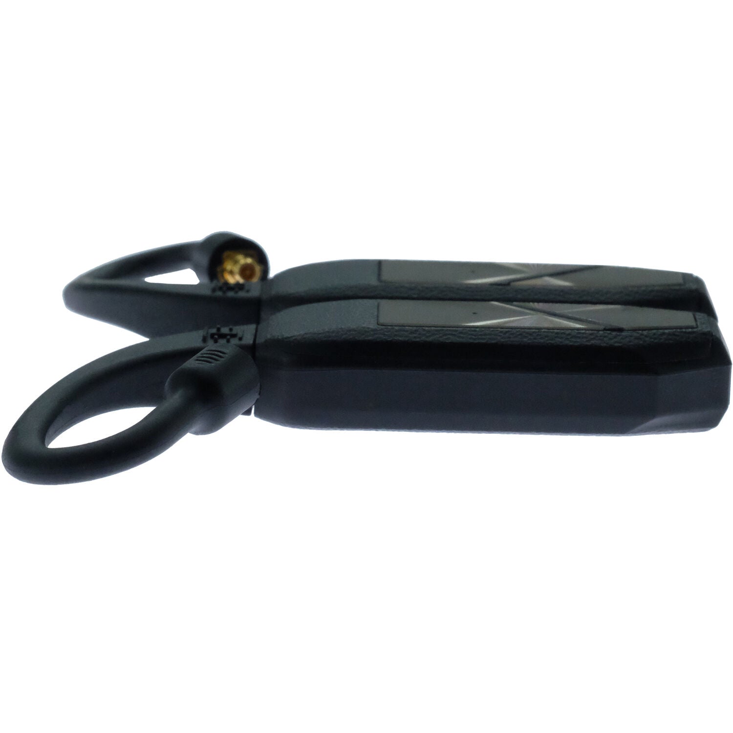 iFi Audio GO Pod