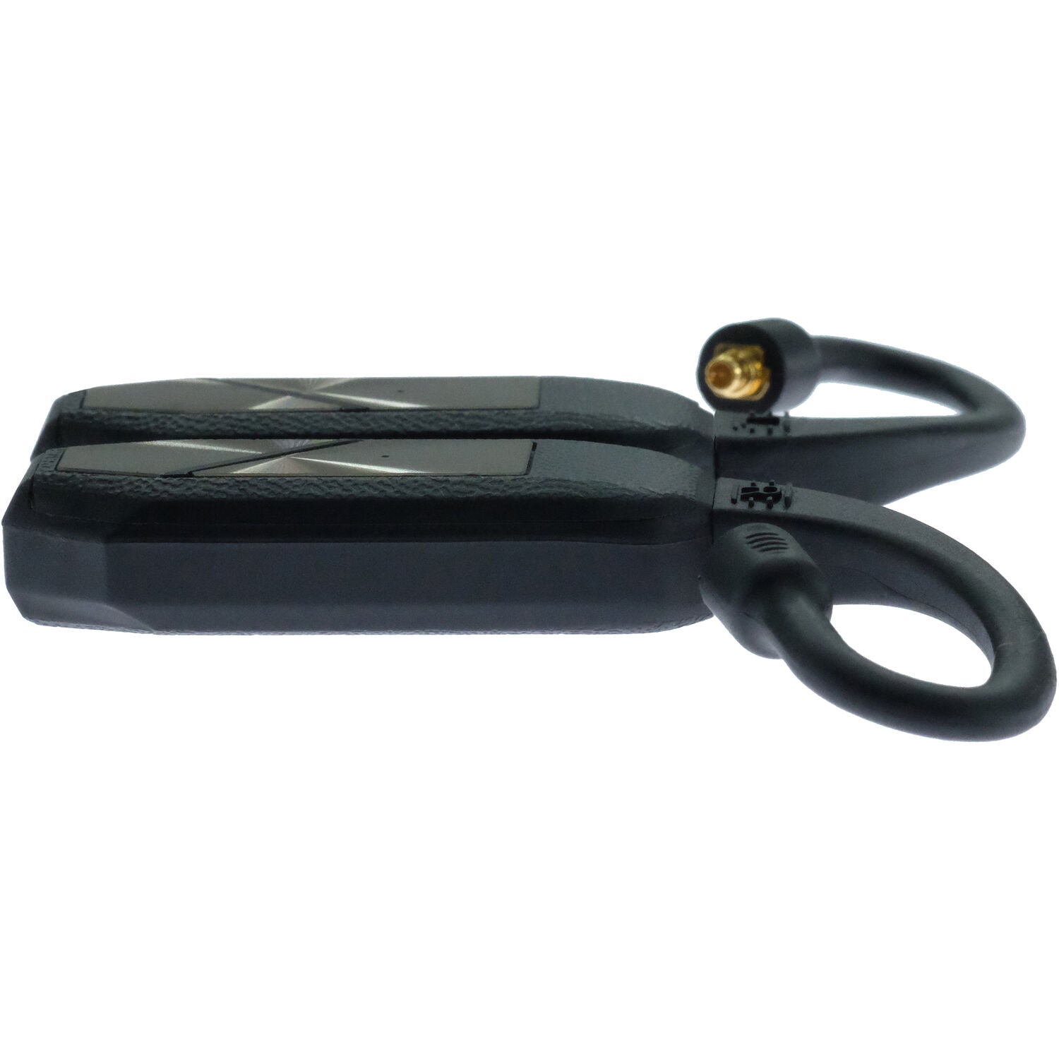 iFi Audio GO Pod