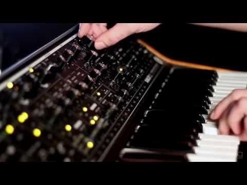 Moog Subsequent 37