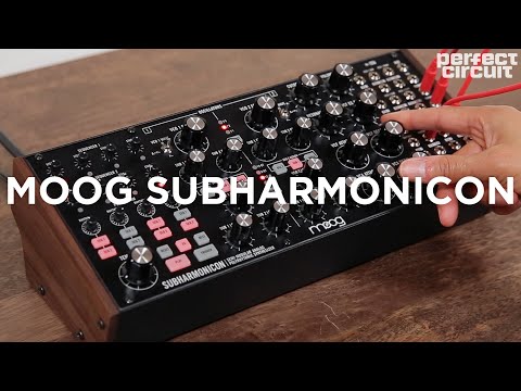 Moog Subharmonicon