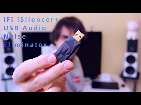 iFi Audio iSilencer+ (Type A > A)