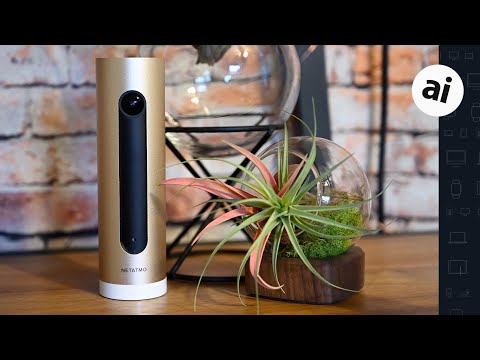 Netatmo Smart indendørs kamera