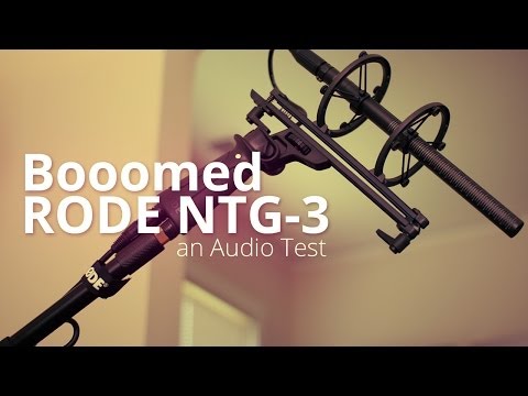 Rode NTG3 (sort)